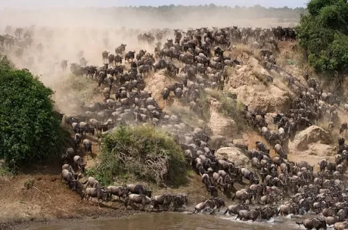 Serengeti National Park