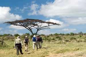 Expert Local Guides